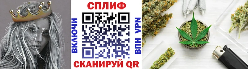 Конопля Bruce Banner  Камешково 